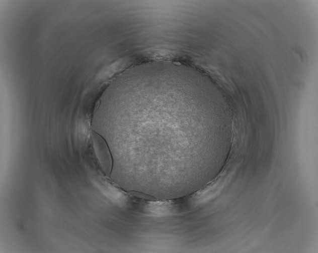 X0000111020240200906261547