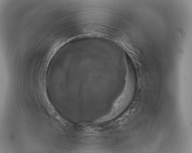 X0000111020241200906261546