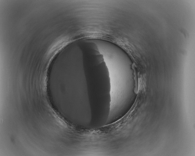 X0000111020243200906261546