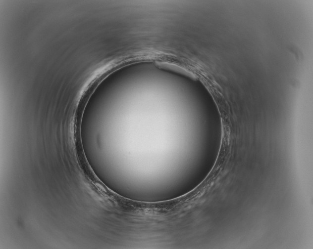 X0000111020244200906261546
