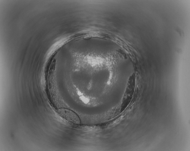 X0000111020245200906261546