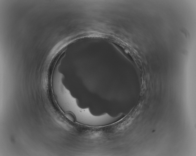 X0000111020247200906261546