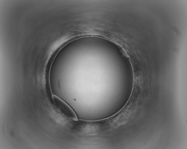 X0000111020248200906261546