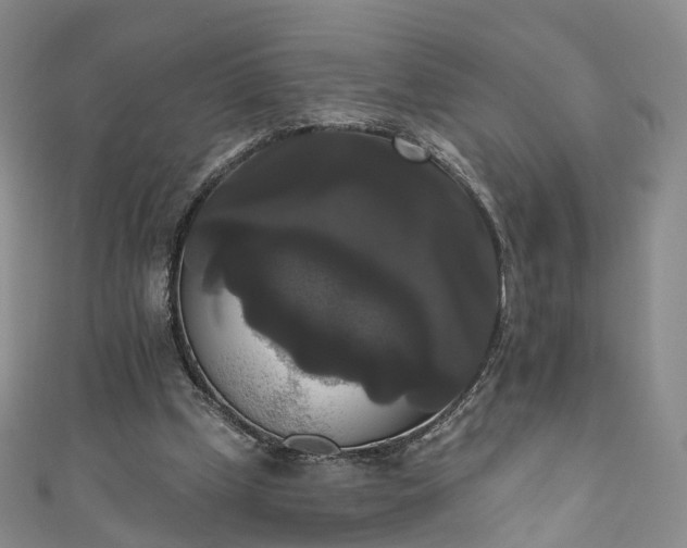 X0000111020249200906261546