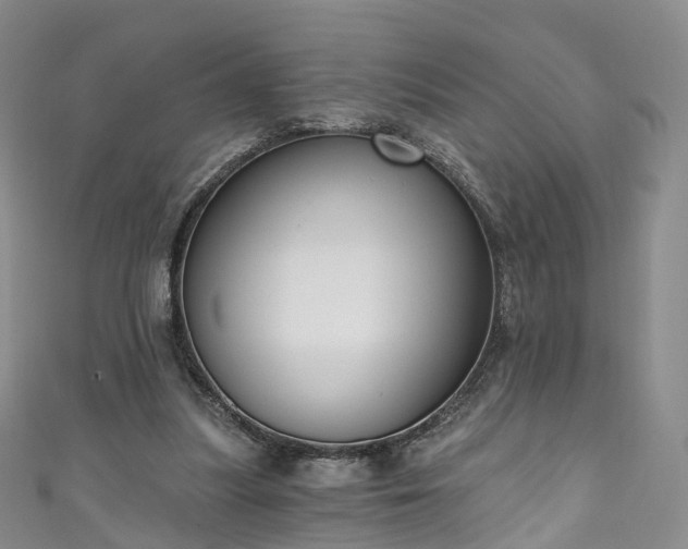 X0000111020251200906261546