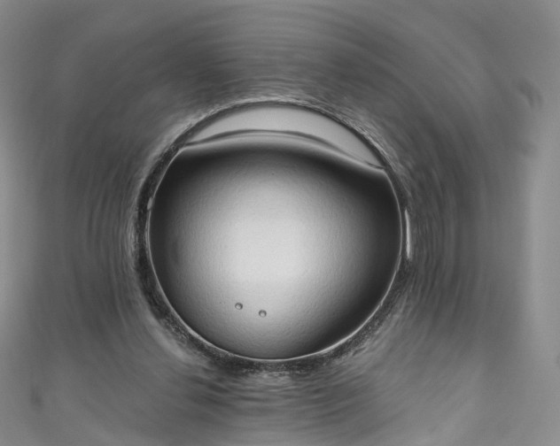 X0000111020252200906261546