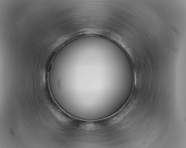 X0000111020253200906261546