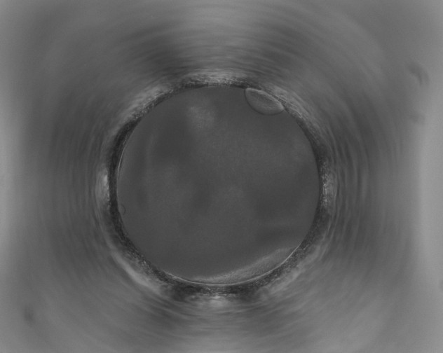 X0000111020254200906261546