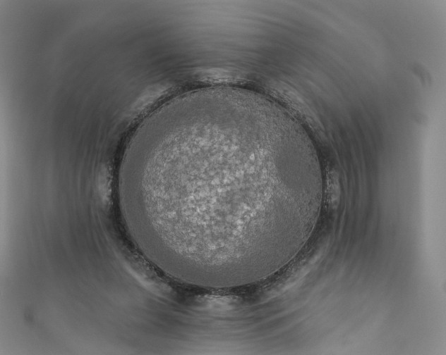 X0000111020255200906261546