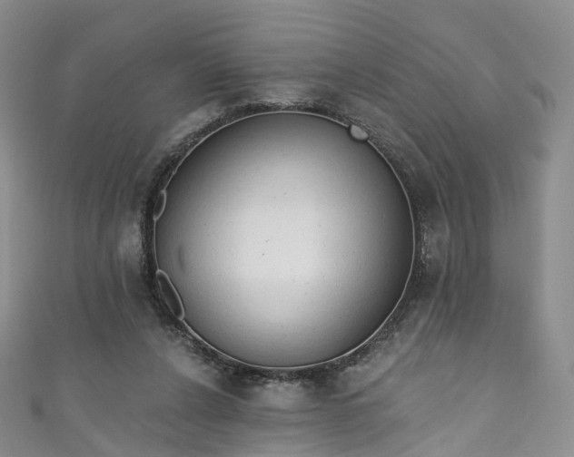 X0000111020256200906261546