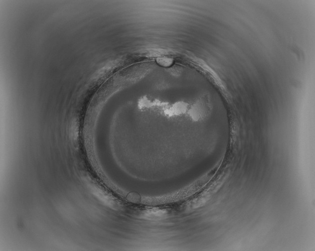 X0000111020257200906261546