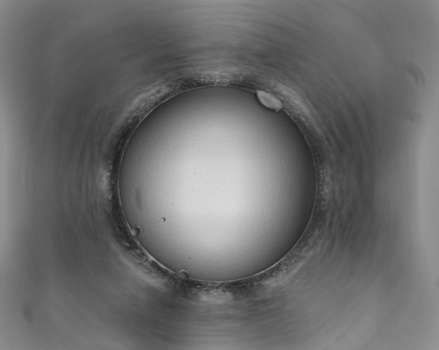 X0000111020258200906261546
