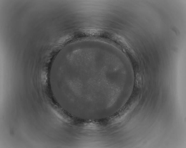 X0000111020259200906261546