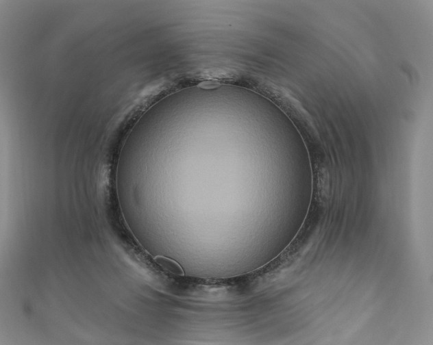 X0000111020260200906261546