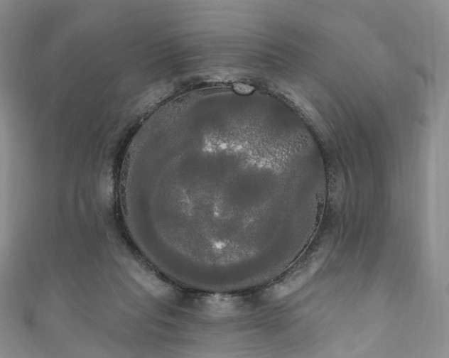 X0000111020261200906261546