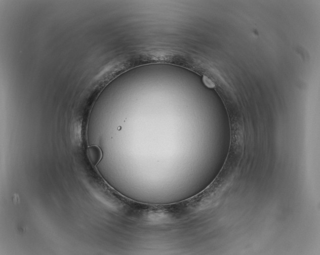 X0000111020262200906261547