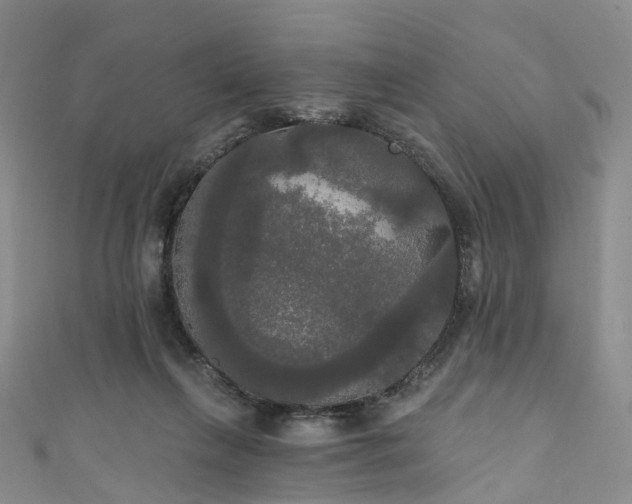 X0000111020263200906261547