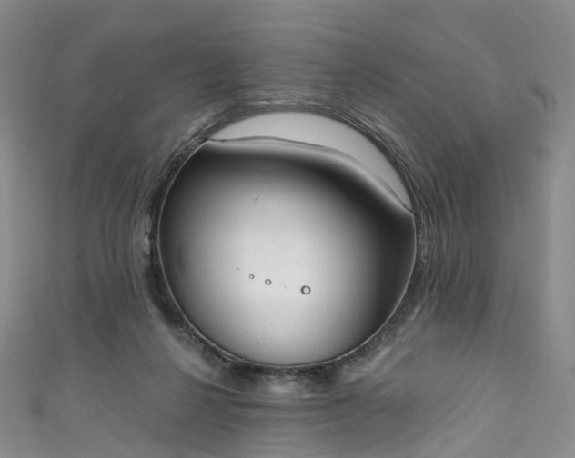 X0000111020264200906261547