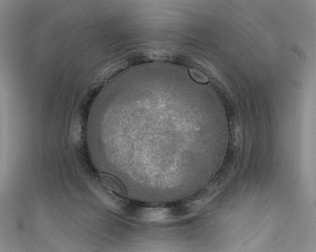 X0000111020266200906261547