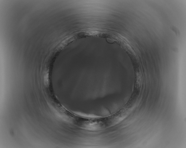 X0000111020267200906261547