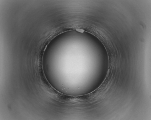 X0000111020268200906261547