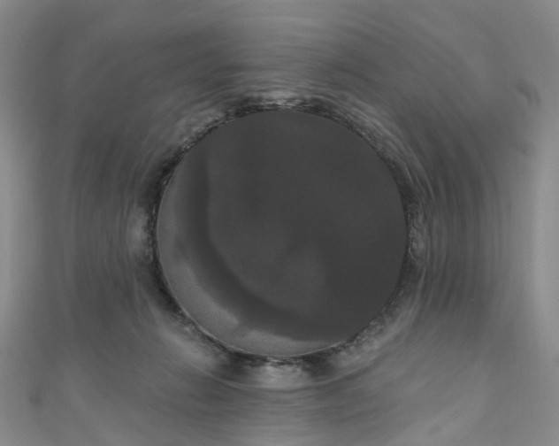 X0000111020270200906261547