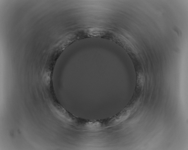 X0000111020271200906261547