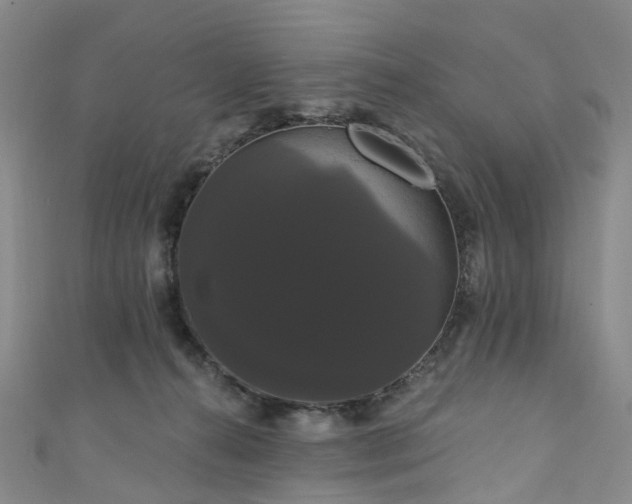 X0000111020272200906261547