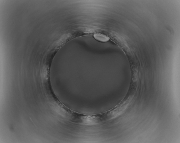X0000111020273200906261547