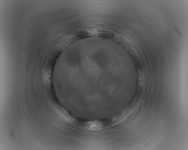 X0000111020275200906261547