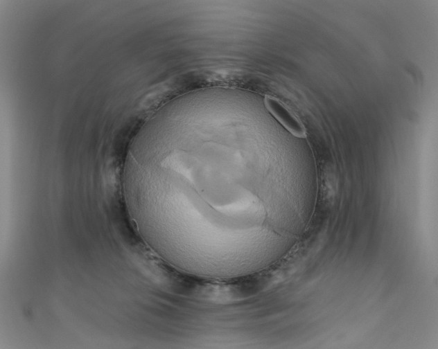 X0000111020276200906261547