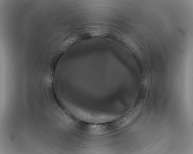 X0000111020277200906261547