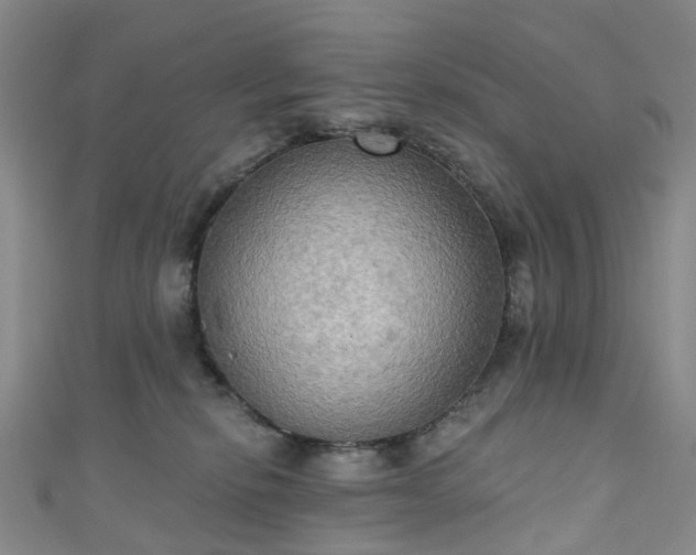 X0000111020278200906261547