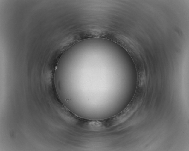 X0000111020279200906261547