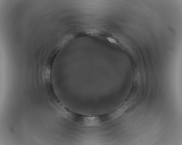 X0000111020281200906261547