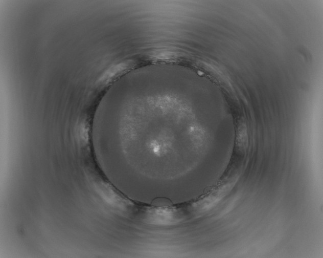 X0000111020282200906261547
