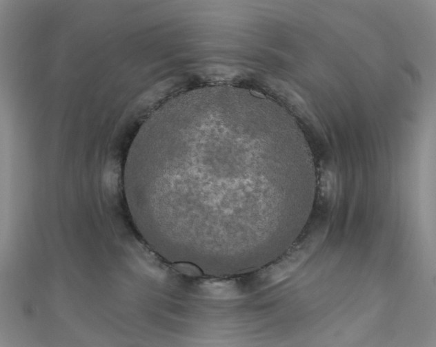 X0000111020283200906261547