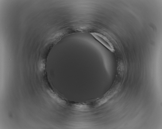 X0000111020284200906261547