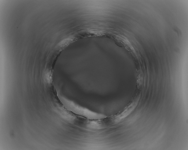 X0000111020285200906261547