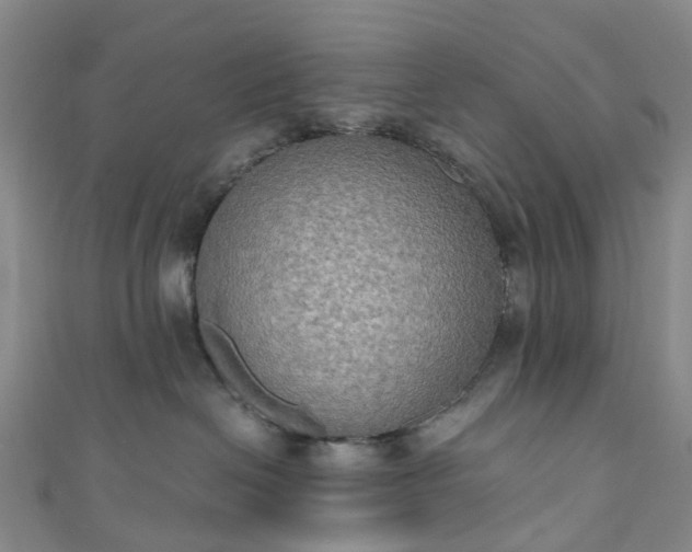 X0000111020286200906261547