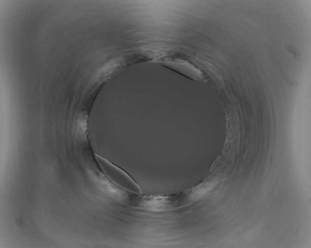 X0000111020288200906261547