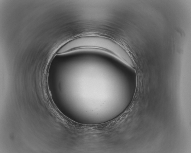 X0000111020289200906261546
