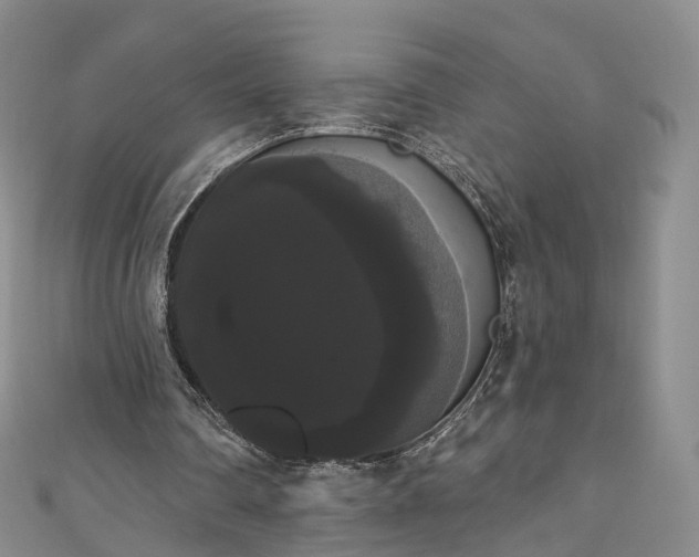 X0000111020290200906261546