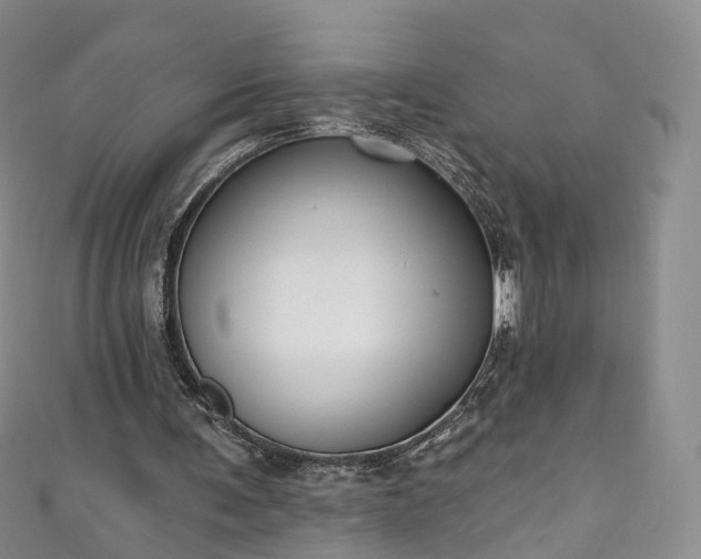 X0000111020291200906261546