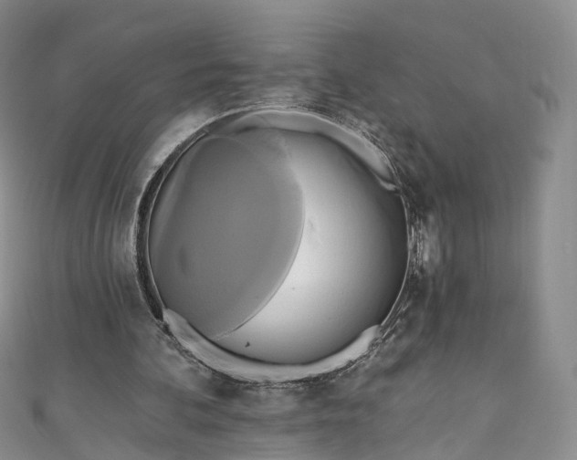 X0000111020292200906261546