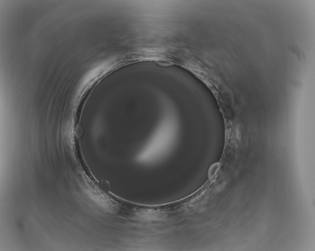 X0000111020293200906261546
