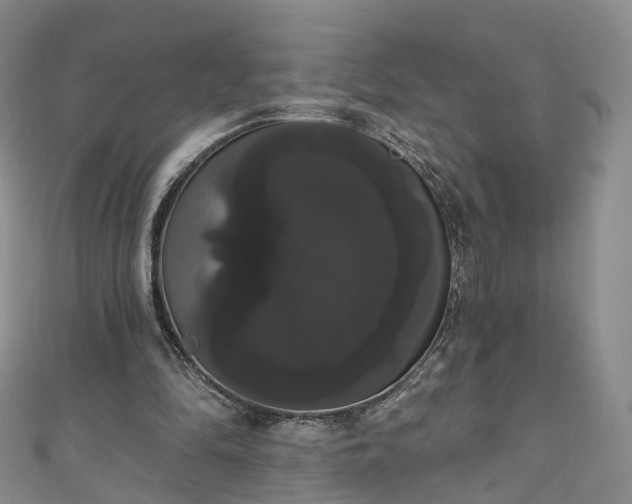 X0000111020294200906261546