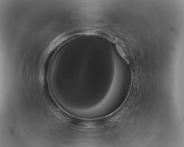 X0000111020295200906261546