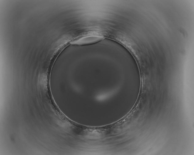 X0000111020297200906261546