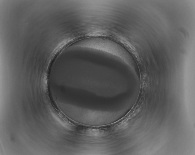 X0000111020298200906261546